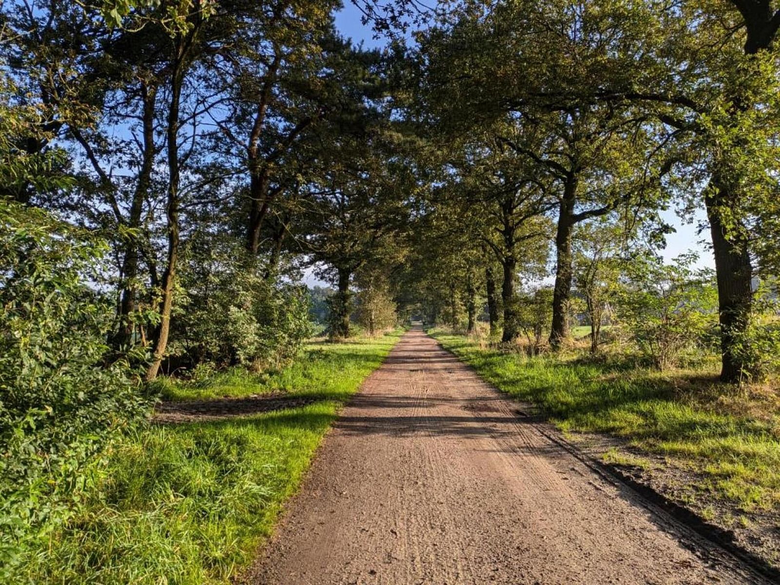 Verblijf 533215 - Vakantiewoning Salland - Park Haarle