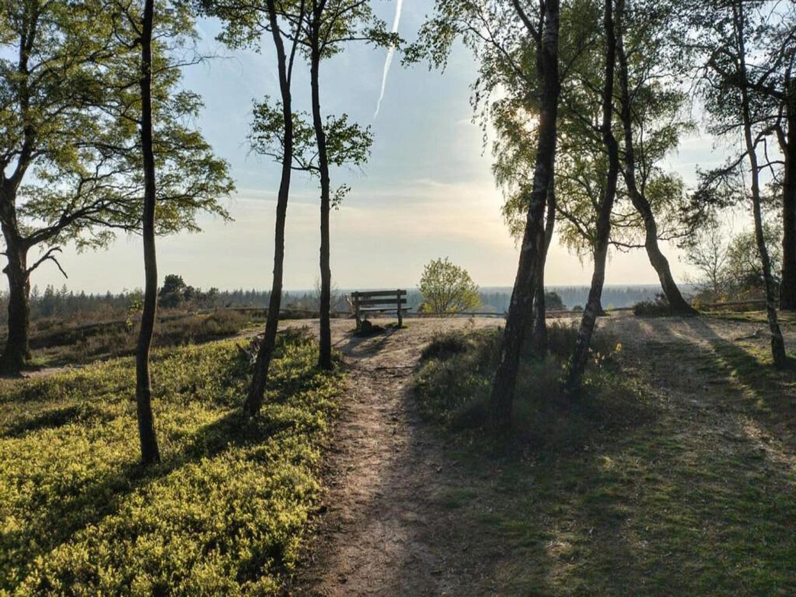 Verblijf 533215 - Vakantiewoning Salland - Park Haarle