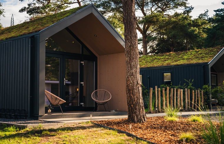 Modernes Ferienhaus mit Gruendach in Haarle, Overijssel, umgeben von Natur und Ruhe, ideal fuer einen erholsamen Aufenthalt.