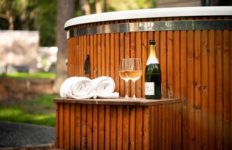 Geniessen Sie luxurioese Entspannung in einem Ferienhaus in Haarle, Hellendoorn, mit einem privaten Whirlpool in der schoenen Landschaft von Salland, Overijssel.