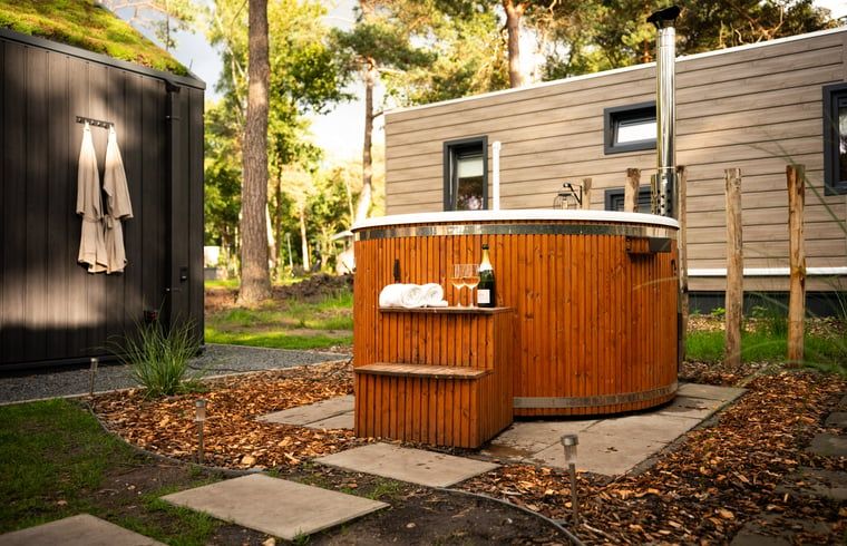 Unterkunft 533218 - Ferienhaus Salland - Vakantiehuis in Haarle