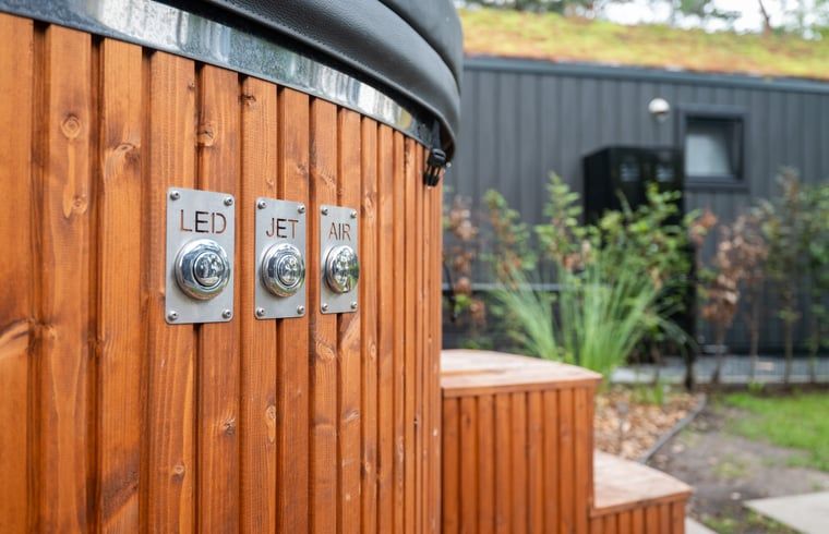 Unterkunft 533218 - Ferienhaus Salland - Vakantiehuis in Haarle