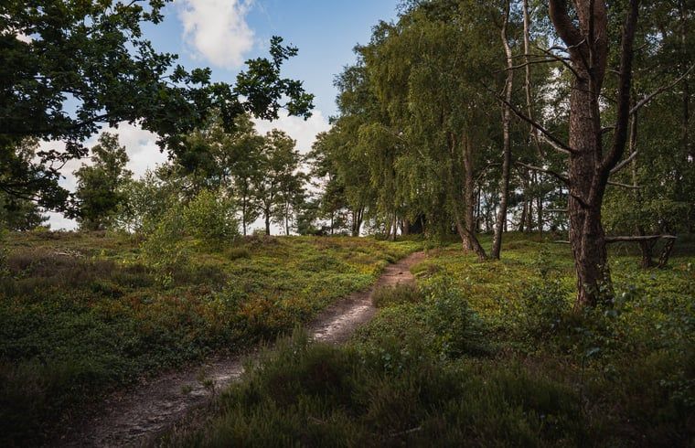 Unterkunft 533218 - Ferienhaus Salland - Vakantiehuis in Haarle