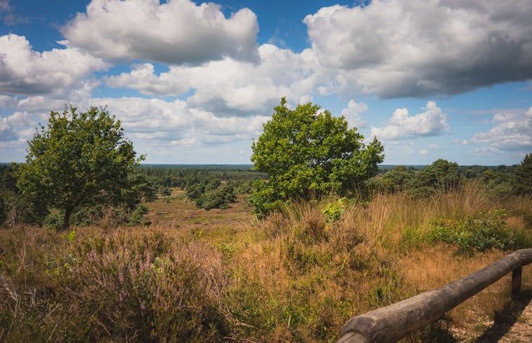 Unterkunft 533218 - Ferienhaus Salland - Vakantiehuis in Haarle