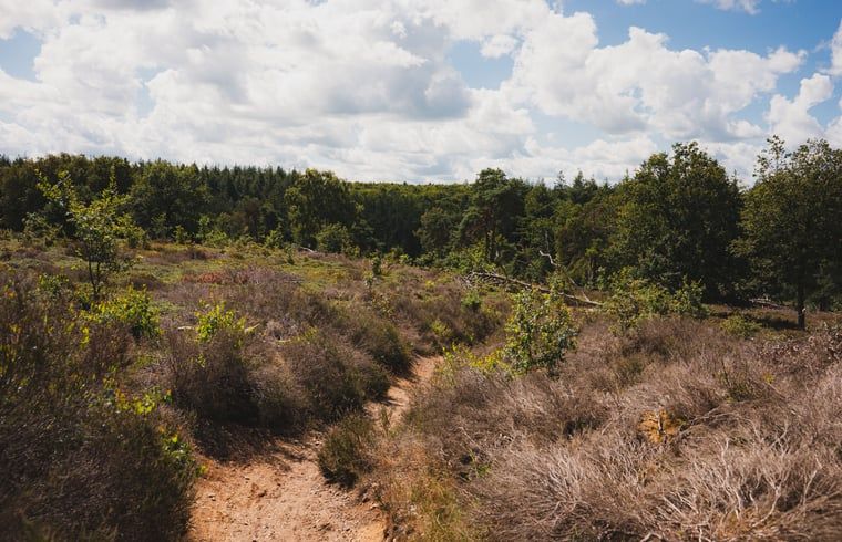 Unterkunft 533218 - Ferienhaus Salland - Vakantiehuis in Haarle