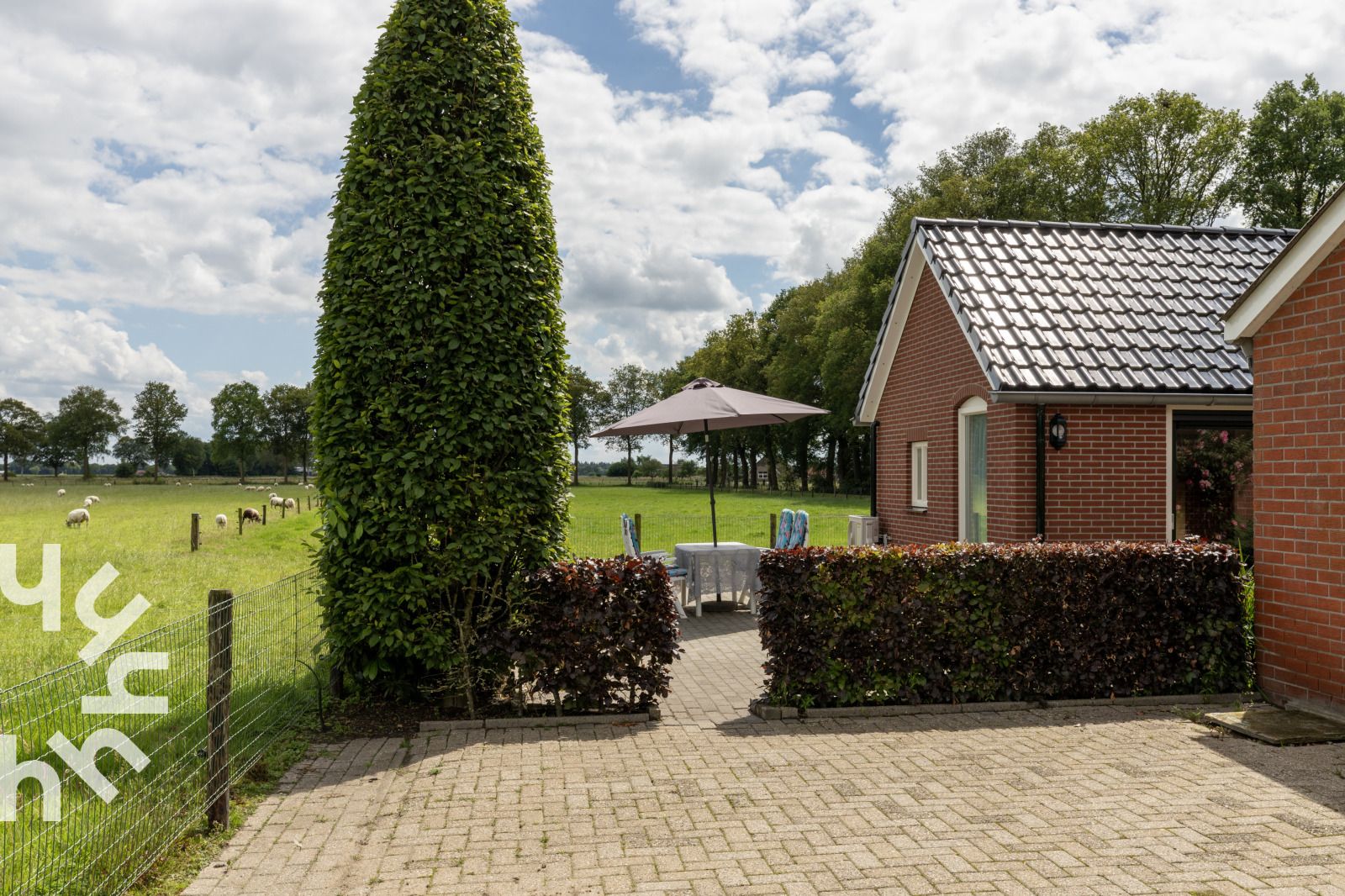 Uitzicht vanaf terras van vakantiehuis OV218 in Haarle, Hellendoorn, op de groene omgeving van Salland, Overijssel.