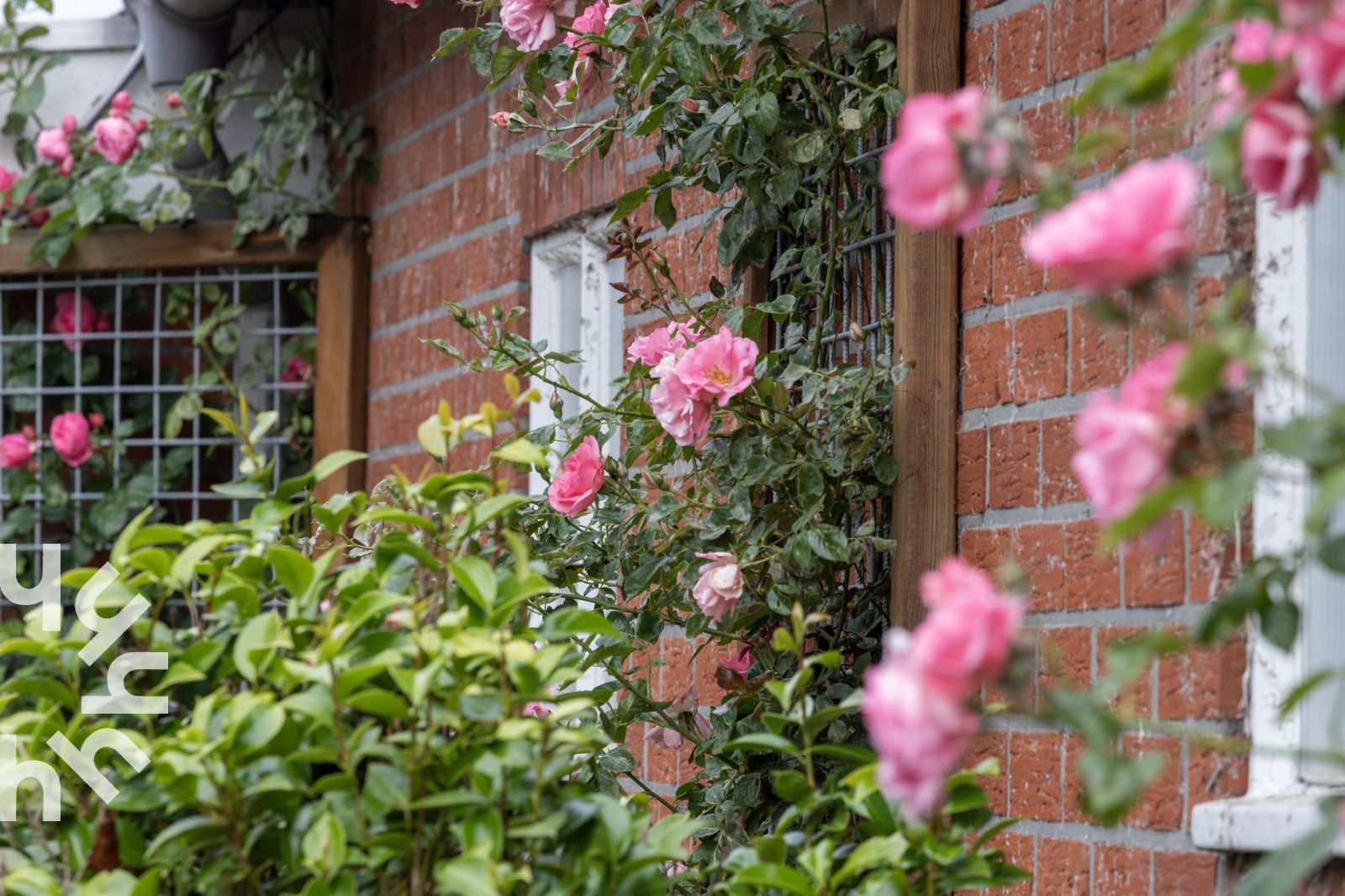Vrij uitzicht op weilanden vanaf vakantiehuis OV218 in Haarle, Hellendoorn, in het serene Salland, Overijssel.