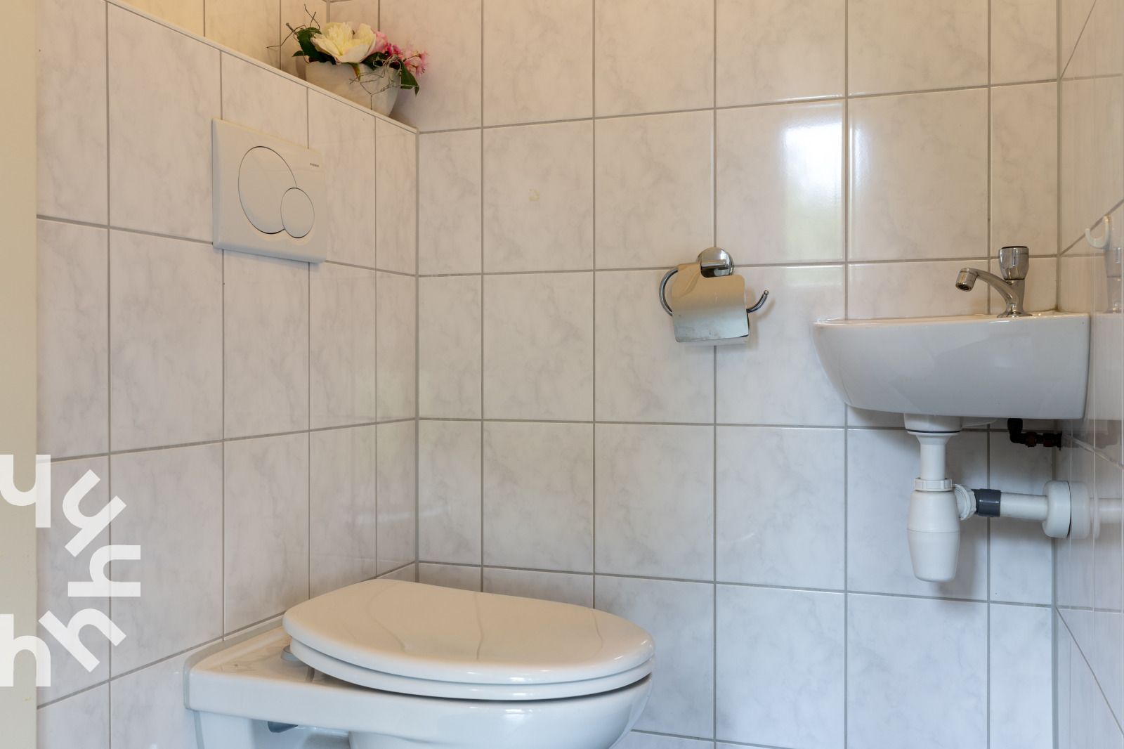 Bloeiende rozen bij vakantiehuis OV218 in Haarle, Hellendoorn, omgeven door natuur in Salland, Overijssel.