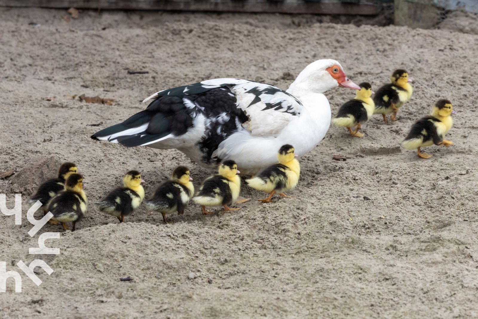 Zithoek met uitzicht in vakantiehuis OV218, Haarle, Hellendoorn, biedt comfort in Salland, Overijssel.