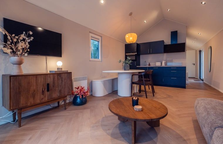 Open woonkamer en keuken in Vakantiehuisje in Haarle, perfect voor een ontspannen verblijf in Hellendoorn.