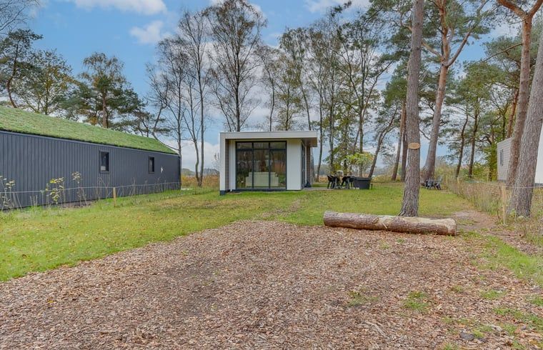 Rustikales Outdoor-Ferienhaus in Haarle, ideal fuer Naturliebhaber in Hellendoorn, Overijssel.