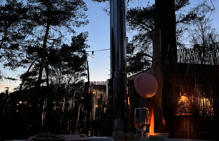 Evening view from the hot tub of Holiday Home in Haarle in the serene forests of Hellendoorn, Overijssel.