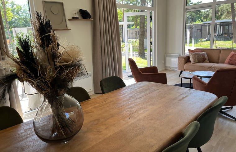 Modern decoration of the living room in Holiday home in Haarle, surrounded by nature in Overijssel.