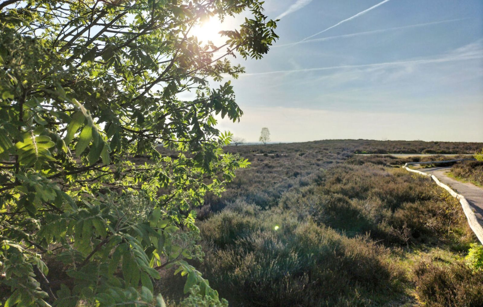 Vacation home OV751 in Haarle, Hellendoorn, surrounded by green nature in Salland, Overijssel, with modern veranda and peaceful surroundings.