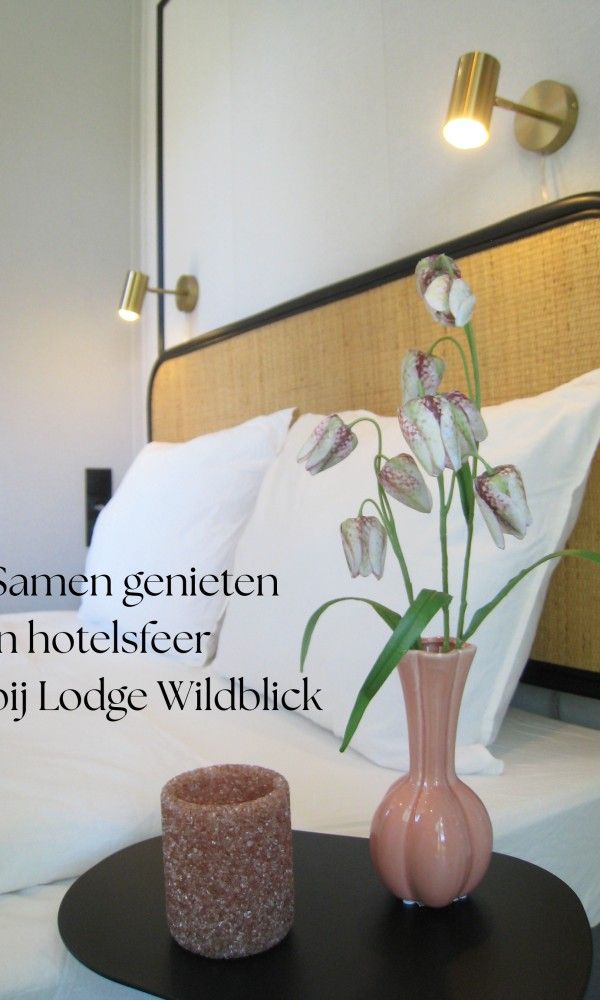 Unterkunft 533276 - Ferienhaus Salland - Boshuisje Lodge Wildblick