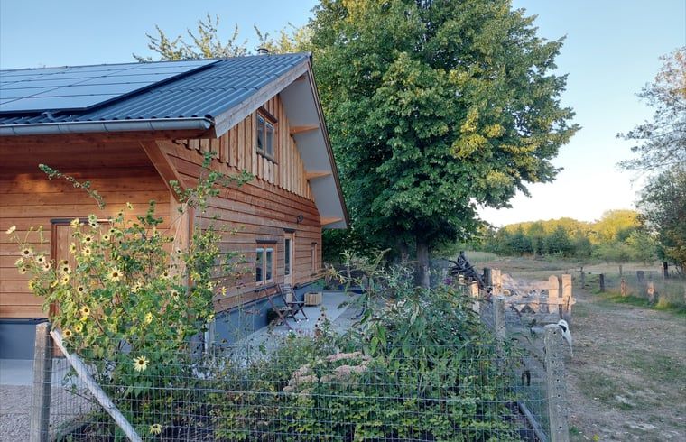 Vacation home in Wesepe, Overijssel with sunny veranda and green surroundings for a relaxing stay.