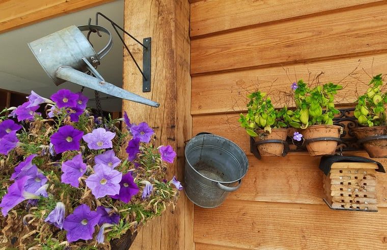 Guest house 533306 - Holiday property Salland - Vakantiehuis in Wesepe