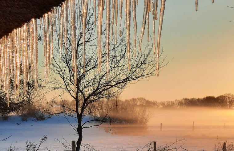 Guest house 533306 - Holiday property Salland - Vakantiehuis in Wesepe