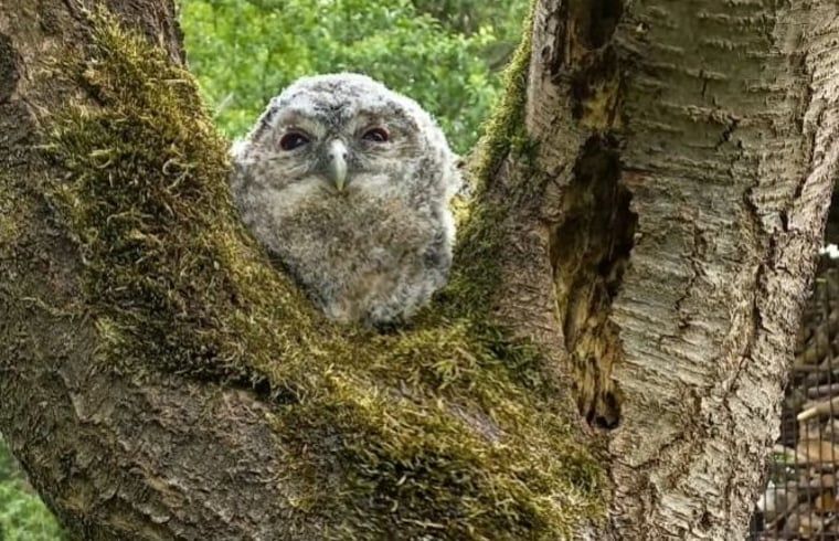 Guest house 533306 - Holiday property Salland - Vakantiehuis in Wesepe