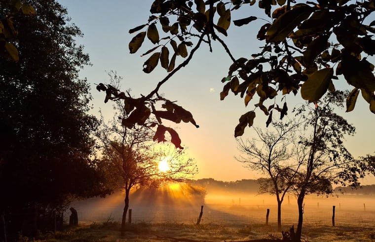 Guest house 533306 - Holiday property Salland - Vakantiehuis in Wesepe