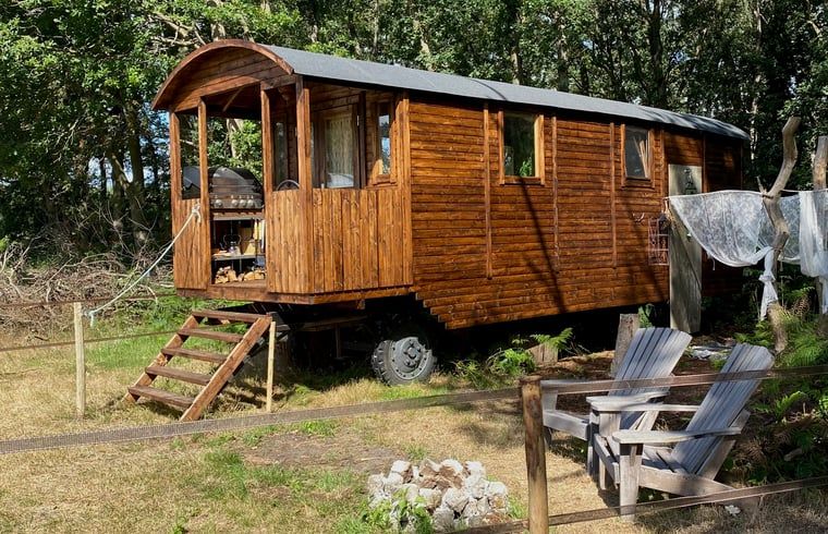 Idyllisch vakantiehuisje in Wesepe, Overijssel, omgeven door natuur met houten veranda en zitgelegenheid in de buitenlucht.