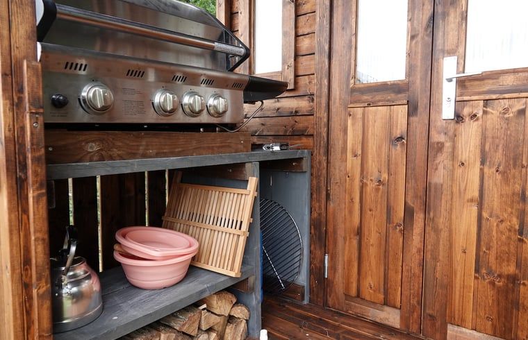 Buitenkeuken van Vakantiehuisje in Wesepe, Salland, Overijssel met barbecue en houten opbergruimte voor een gezellige vakantie-ervaring.