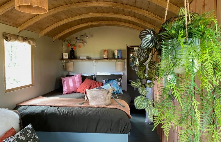 Verblijf 533309 - Vakantiewoning Salland - Vakantiehuisje in Wesepe