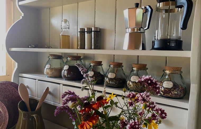 Verblijf 533309 - Vakantiewoning Salland - Vakantiehuisje in Wesepe