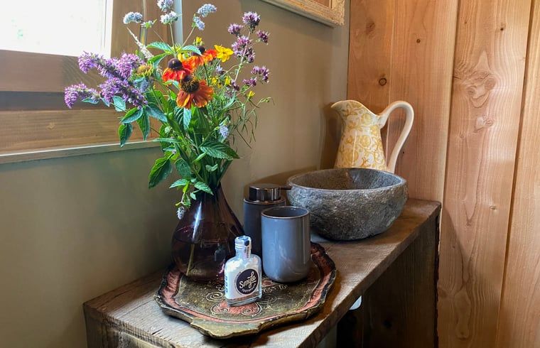 Verblijf 533309 - Vakantiewoning Salland - Vakantiehuisje in Wesepe