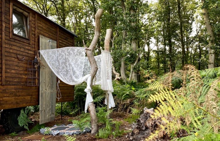 Verblijf 533309 - Vakantiewoning Salland - Vakantiehuisje in Wesepe