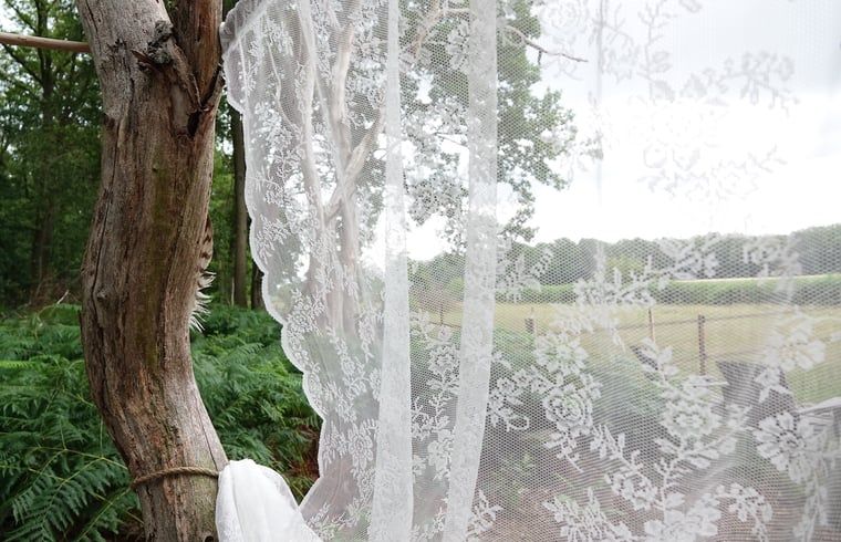 Verblijf 533309 - Vakantiewoning Salland - Vakantiehuisje in Wesepe