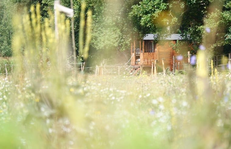 Verblijf 533309 - Vakantiewoning Salland - Vakantiehuisje in Wesepe