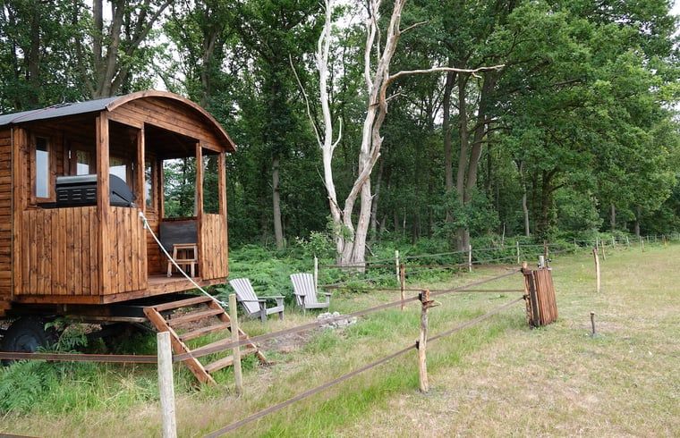 Verblijf 533309 - Vakantiewoning Salland - Vakantiehuisje in Wesepe