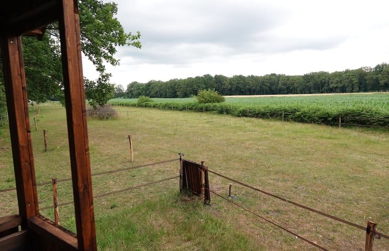 Verblijf 533309 - Vakantiewoning Salland - Vakantiehuisje in Wesepe