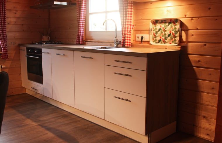 Modern kitchen in Cottage in Hasselt, comfortable vacation home in Salland, Overijssel.