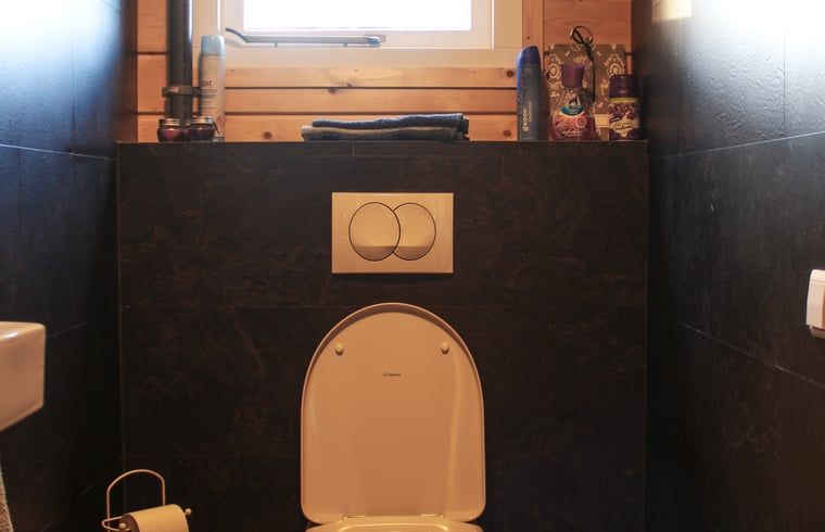 Modern bathroom in Cottage in Hasselt, vacation home with all conveniences in Salland, Overijssel.