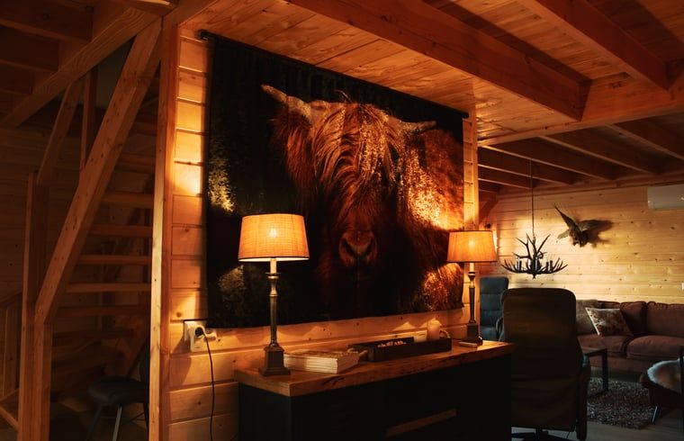 Cozy living room in Cottage in Hasselt, vacation home with warm decor in Salland, Overijssel.