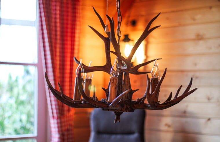 Cozy fireplace in Cottage in Hasselt, vacation home with warm ambiance in Salland, Overijssel.