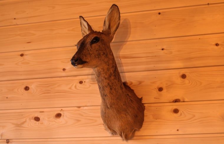 Rustic chandelier in Cottage in Hasselt, vacation home with rural charm in Salland, Overijssel.