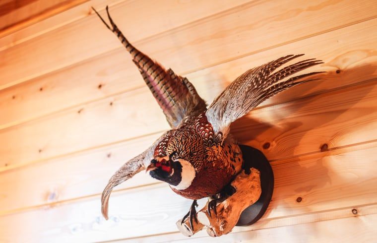 Attractive bedroom in Cottage in Hasselt, comfortable vacation home in Salland, Overijssel.