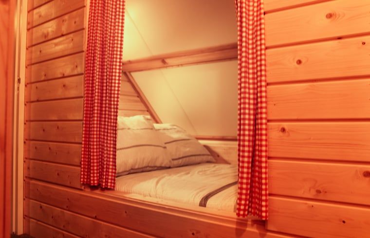 Scottish Highlanders near Cottage in Hasselt, vacation home in beautiful Salland, Overijssel.