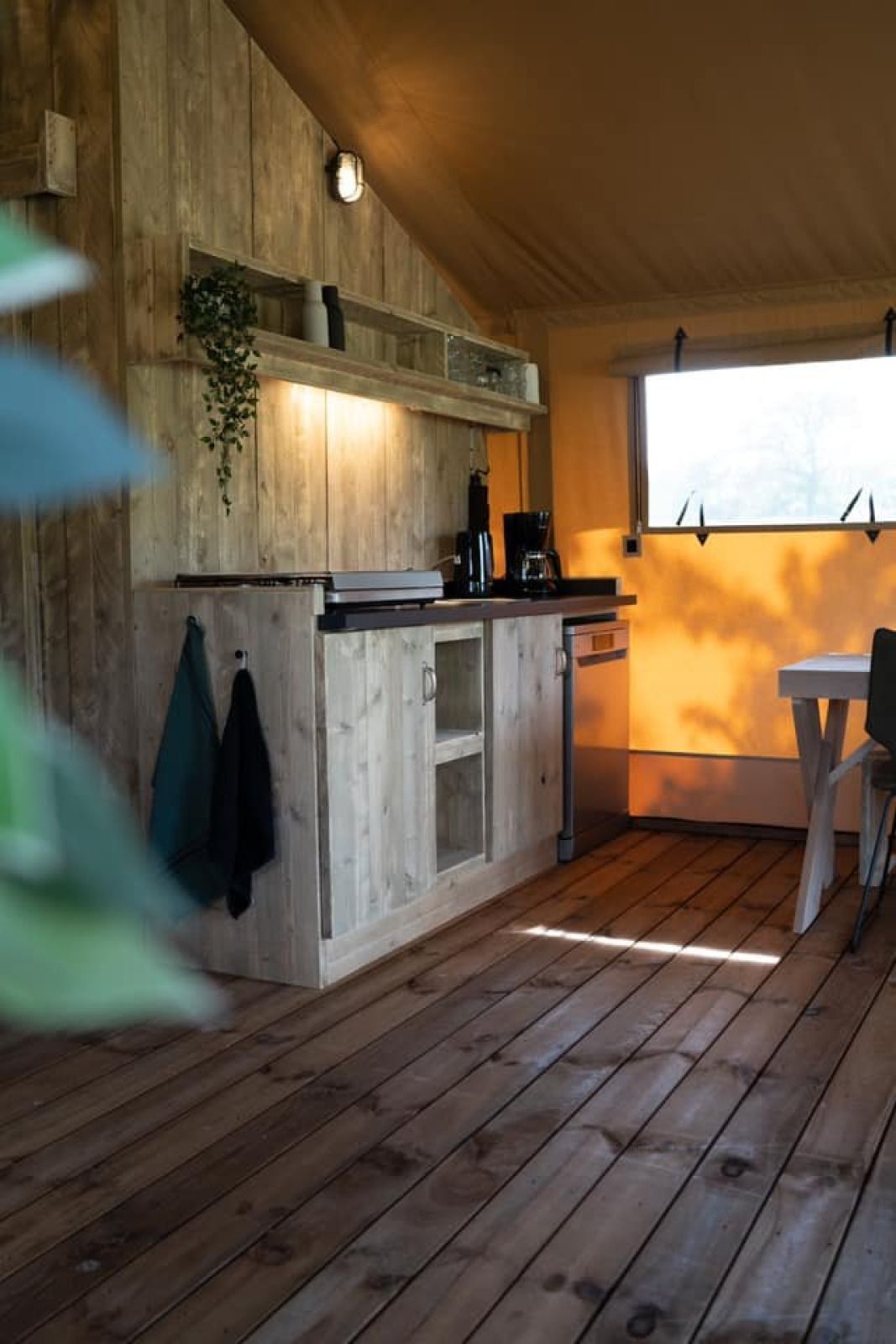 Guest house 533710 - Tent house Salland - Glampingtent Jannie