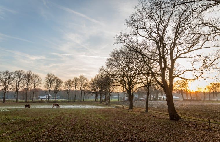 Zonsopkomst over weilanden bij Vakantiehuis in Lettele, Salland, Overijssel.