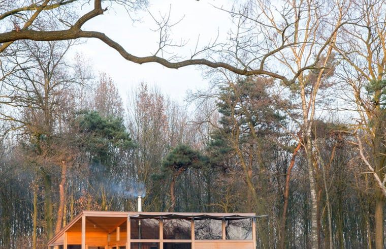 Vakantiehuis in Lettele in de winterse bossen van Salland, Overijssel.