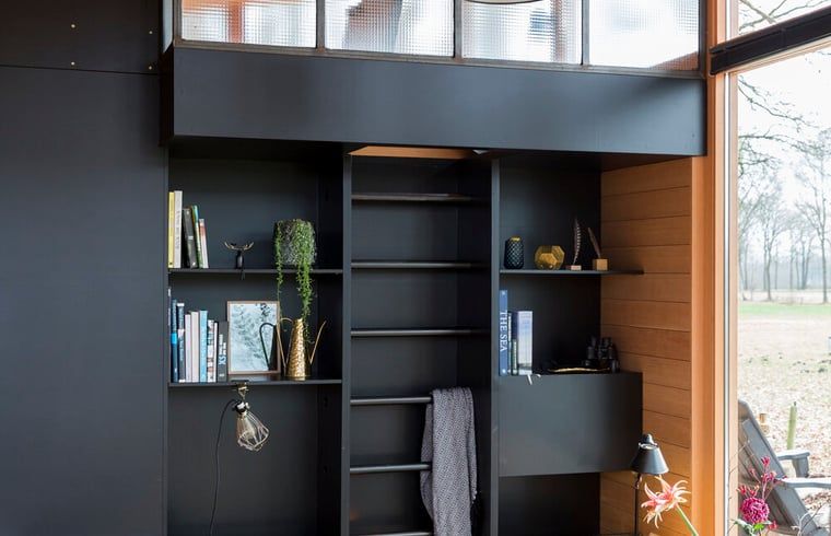 Stijlvolle boekenkast in Vakantiehuis in Lettele, omgeven door de natuur van Salland, Overijssel.