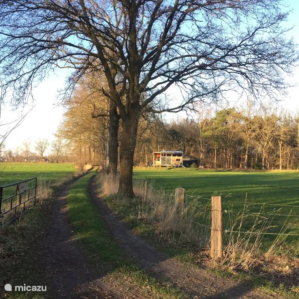 Verblijf 533915 - Vakantiewoning Salland - Natuurcabin