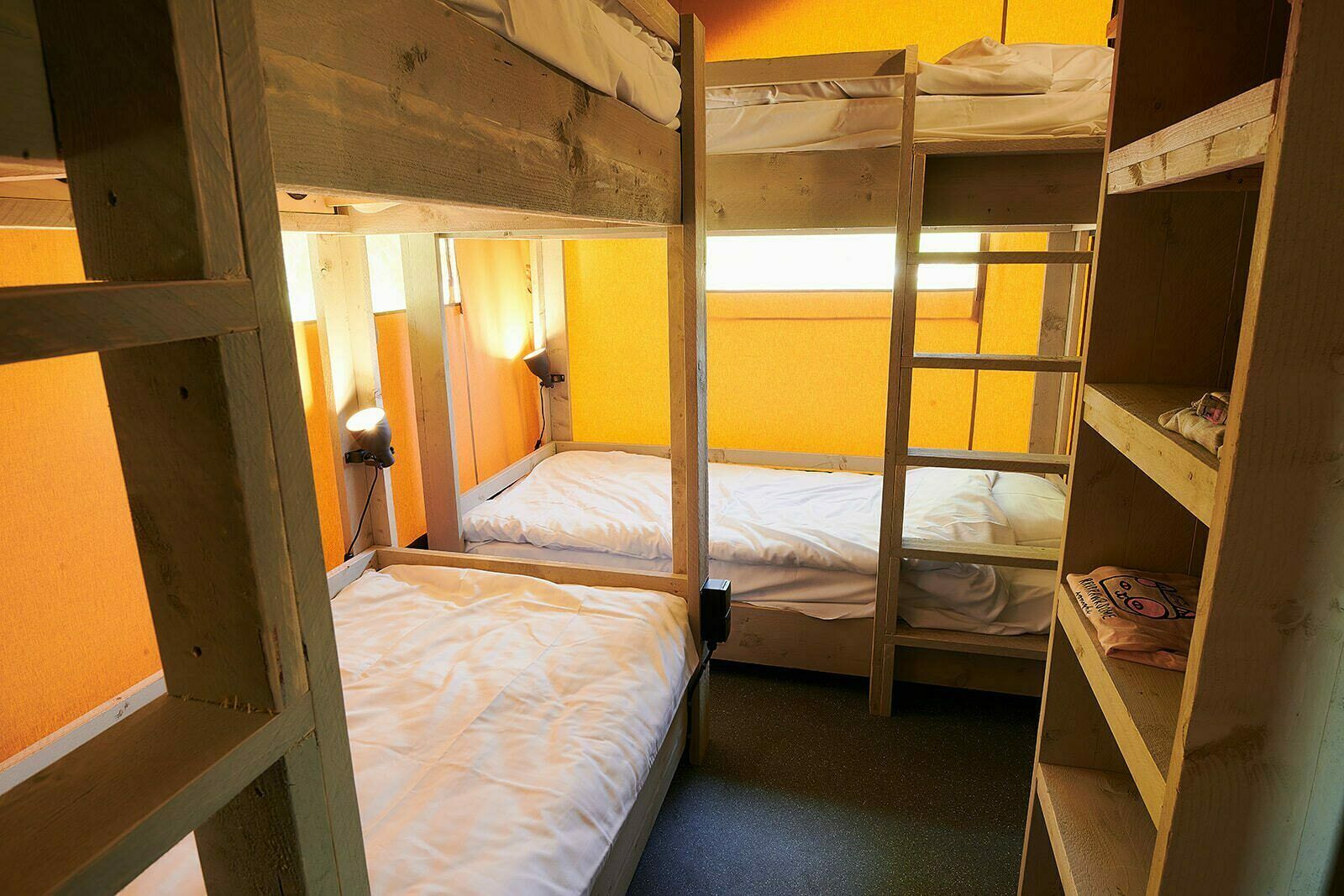 Guest house 534427 - Tent house Salland - Safaritent