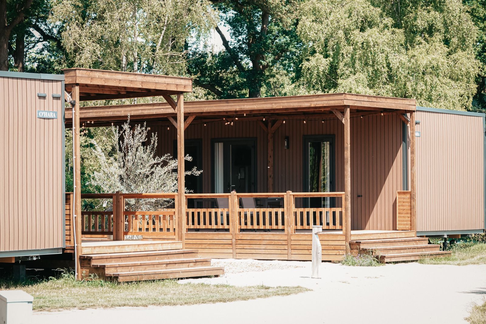 Unterkunft 534431 - Ferienhaus Salland - Tiny Wander Lodge