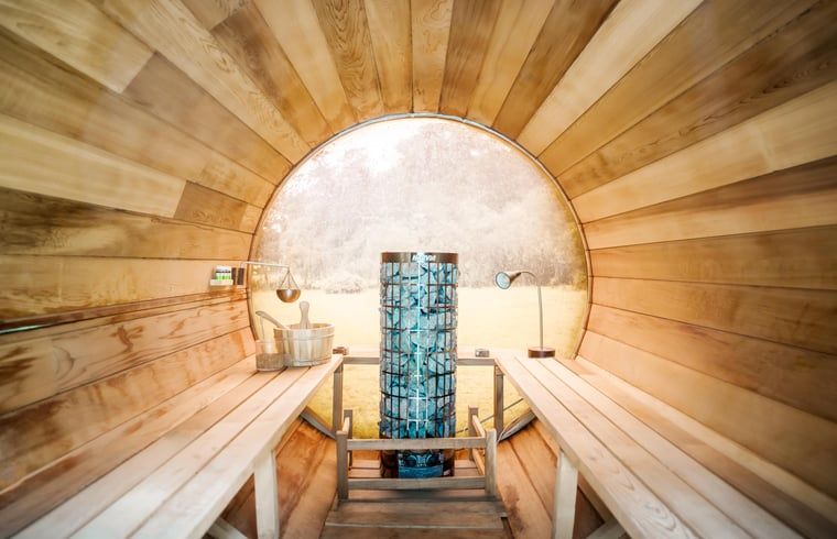 Unieke sauna-ervaring in Vakantiehuis in Diepenveen, met houten interieur en uitzicht op de natuur van Salland.