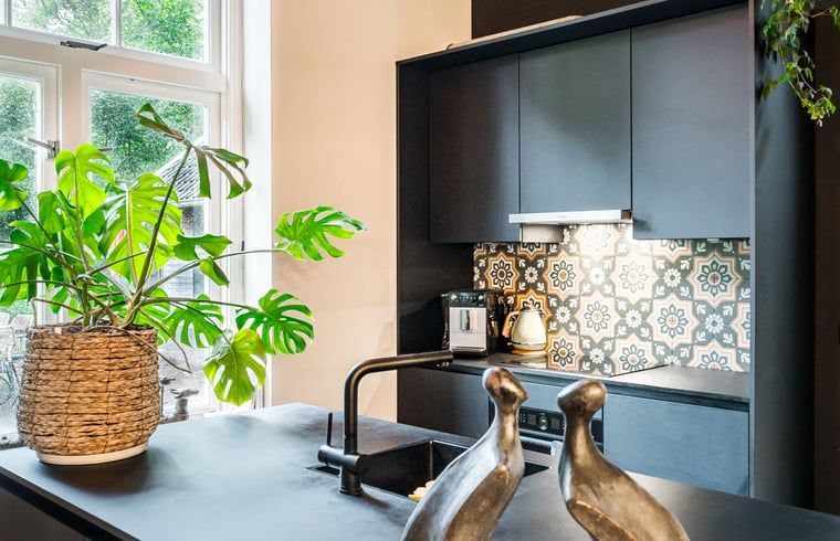 Moderne keuken in Vakantiehuis in Diepenveen met stijlvolle tegels en veel natuurlijk licht in Overijssel.